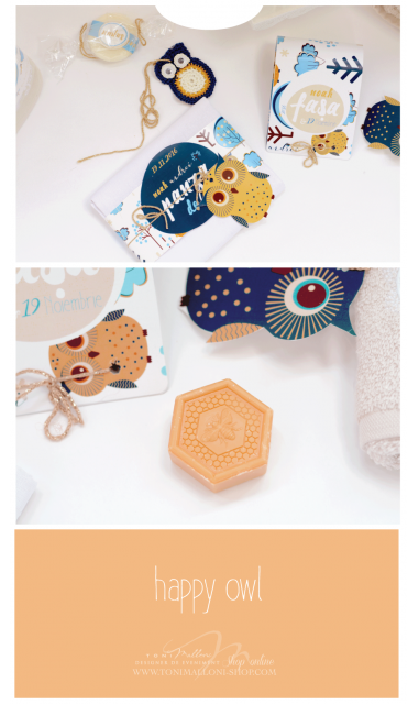 Trusou de botez cu broderie personalizata pentru baieti, Owl Baby Boy 1